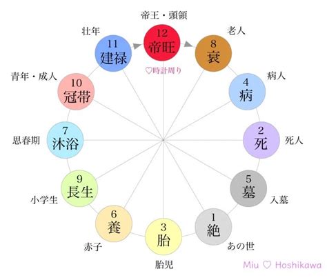 星運帝旺|四柱推命｜十二運の帝王（ていおう）とは？性格・適職・恋愛傾 